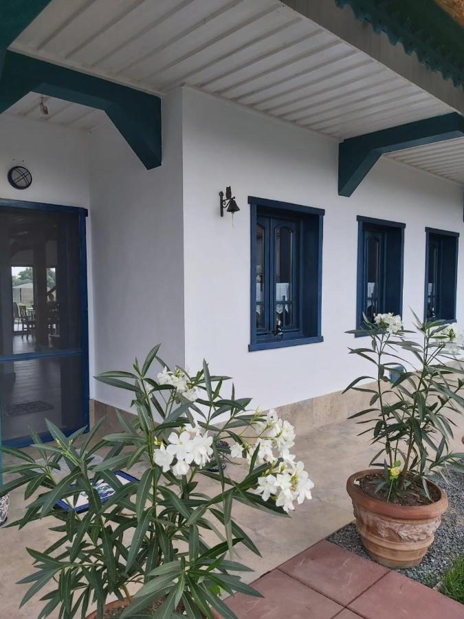 Agropensiunea Beluga Gorgova المظهر الخارجي الصورة