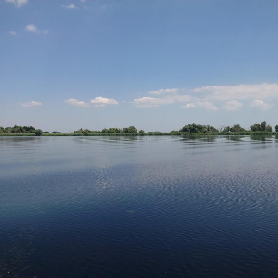 Agropensiunea Beluga Gorgova المظهر الخارجي الصورة