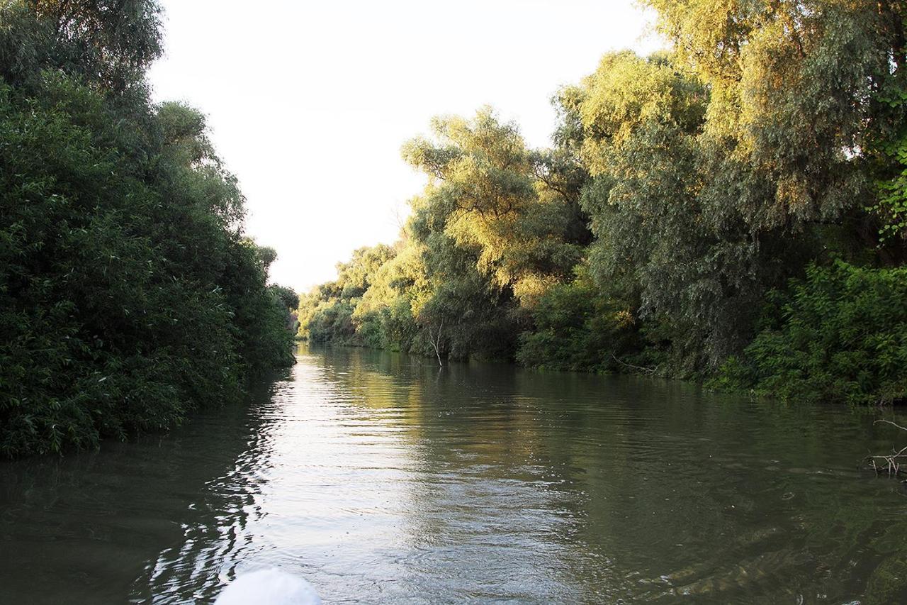 Agropensiunea Beluga Gorgova المظهر الخارجي الصورة