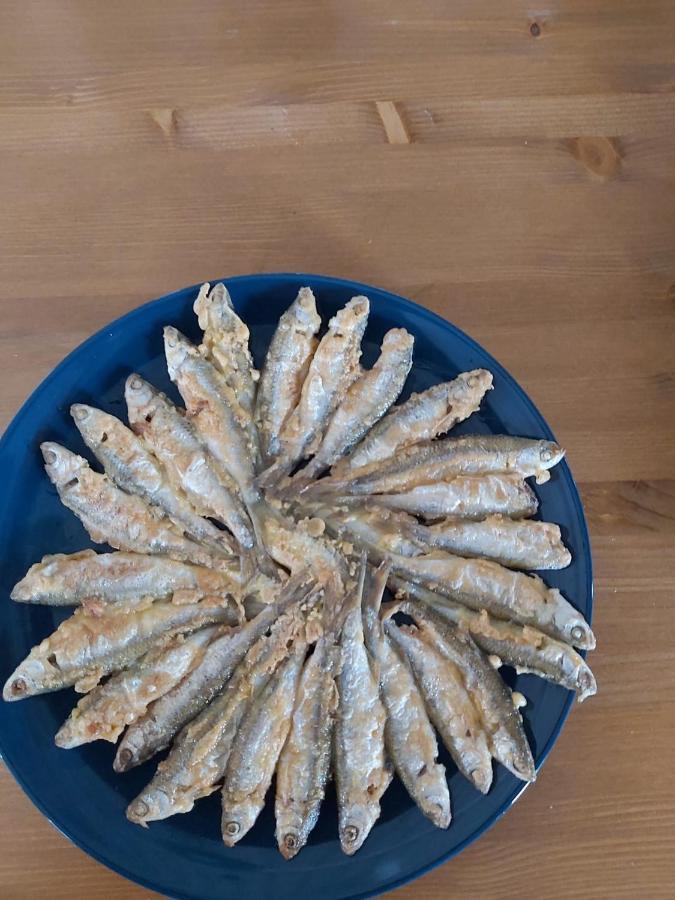 Agropensiunea Beluga Gorgova المظهر الخارجي الصورة