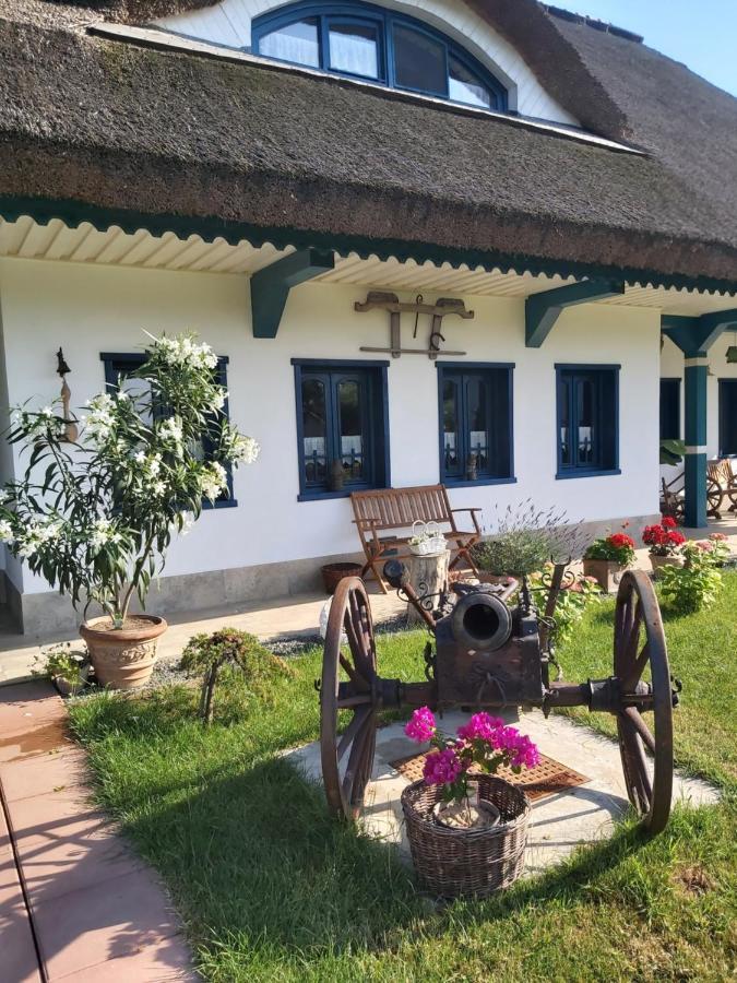 Agropensiunea Beluga Gorgova المظهر الخارجي الصورة